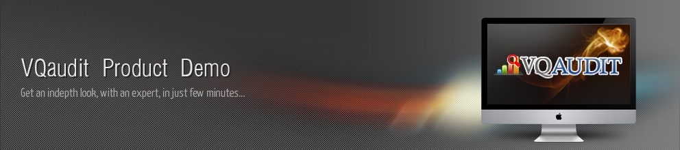 VQAudit